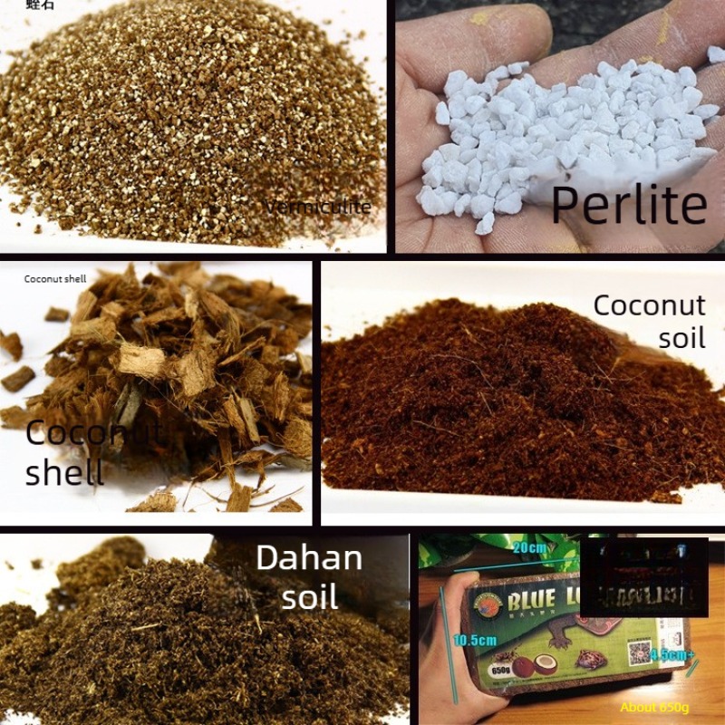 Kokosbodemsteen Reptielensubst - Sphagnum Moss Dry recensie en prijs