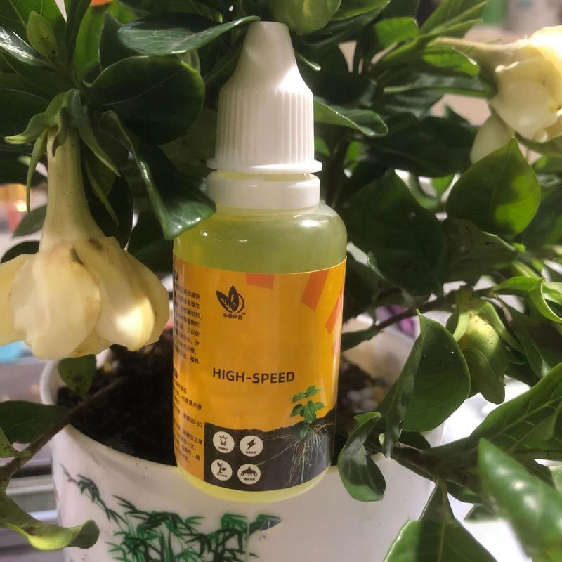 50ml Plantaardige Wortelstimul - Rooting Hormone Powder recensie en prijs