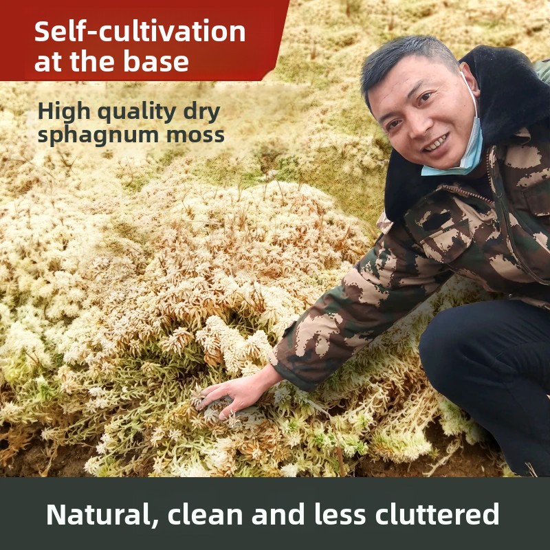 Gedroogd Sphagnummos van kwali - Sphagnum Moss Dry recensie en prijs