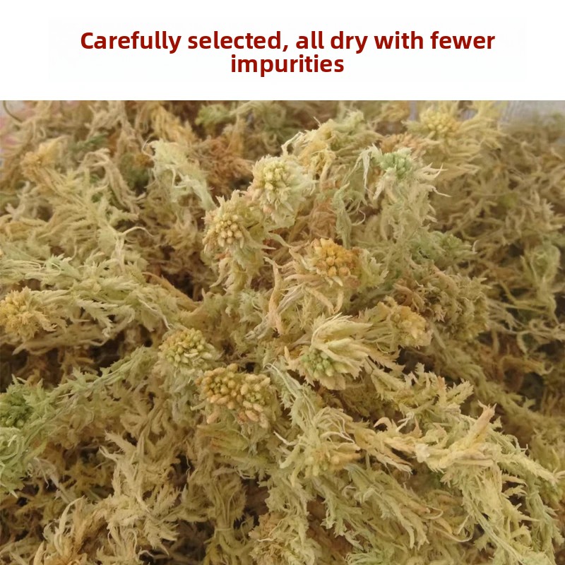 Gedroogd Sphagnummos van kwali - Sphagnum Moss Dry recensie en prijs